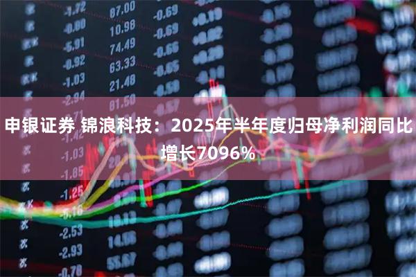 申银证券 锦浪科技：2025年半年度归母净利润同比增长7096%