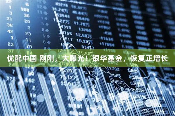 优配中国 刚刚，大曝光！银华基金，恢复正增长