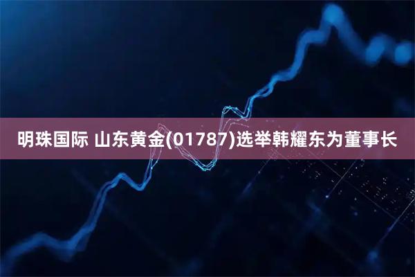明珠国际 山东黄金(01787)选举韩耀东为董事长