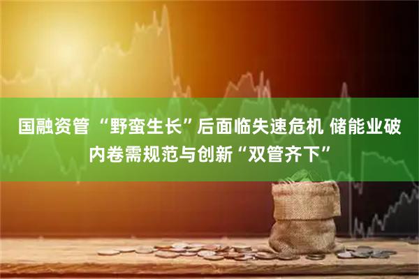 国融资管 “野蛮生长”后面临失速危机 储能业破内卷需规范与创新“双管齐下”