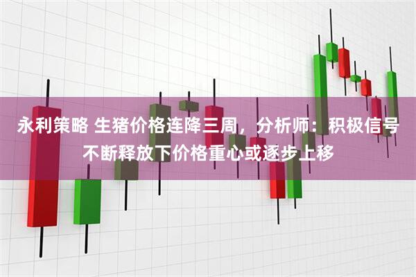 永利策略 生猪价格连降三周，分析师：积极信号不断释放下价格重心或逐步上移