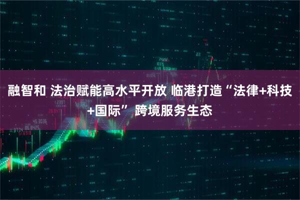 融智和 法治赋能高水平开放 临港打造“法律+科技+国际” 跨境服务生态