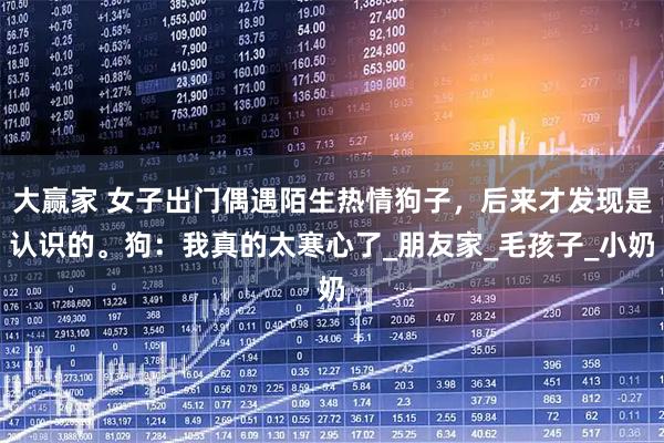 大赢家 女子出门偶遇陌生热情狗子，后来才发现是认识的。狗：我真的太寒心了_朋友家_毛孩子_小奶