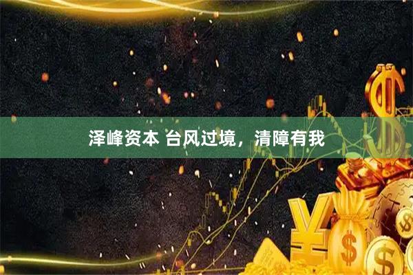 泽峰资本 台风过境，清障有我