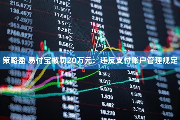 策略盈 易付宝被罚20万元：违反支付账户管理规定